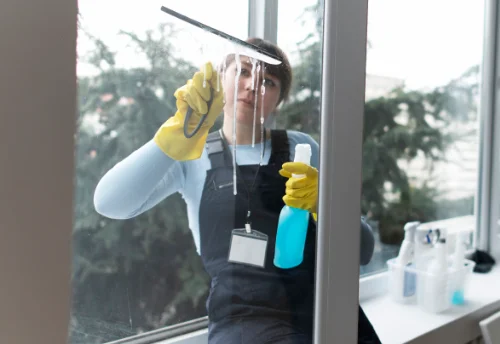 Nettoyage de vitres intérieures et extérieures à Saint-Pierre-le-Chastel
